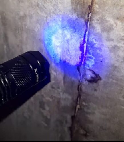 WhatsApp Image 2025-12-19 at 3.00.23 PM